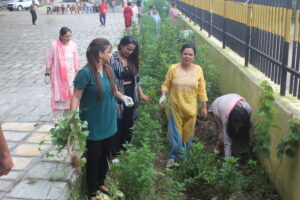Read more about the article Tree Plantation & Conservation Program